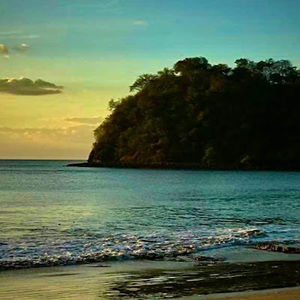 Meet your Posher, Winson